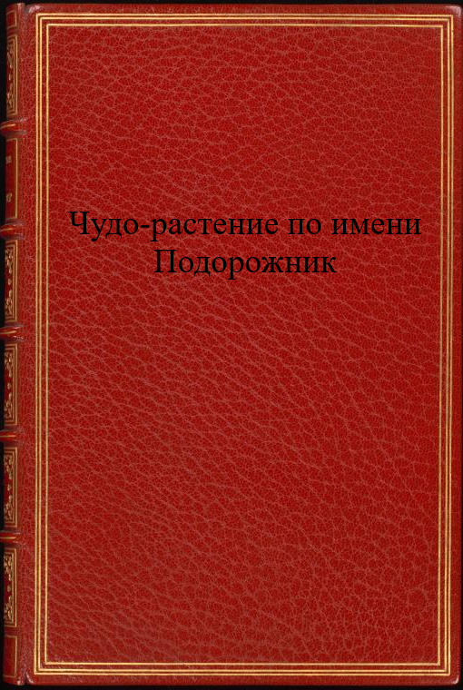 Чудодействующий подорожник by команда 