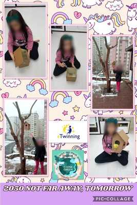 JANUARY E BOOK by Tuğba KIR - Ourboox.com