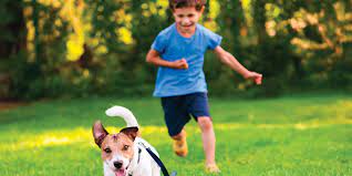 STORIE SOCIALI PER RAGAZZI CON SINDROME DELLO SPETTRO AUTISTICO by stefania - Illustrated by Stefania Mazzotta - Ourboox.com