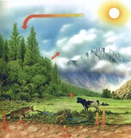 البيئة الحياتية by adamshikha - Ourboox.com