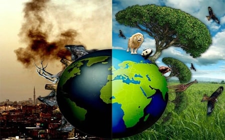 البيئة الحياتية by adamshikha - Ourboox.com