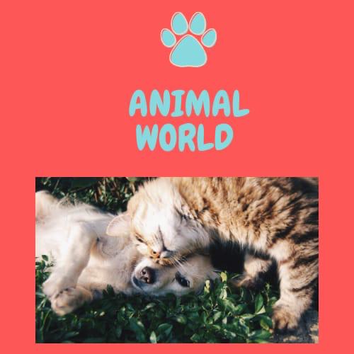 ANIMAL WORLD SUMMARY E-BOOK by Dilek  - Ourboox.com