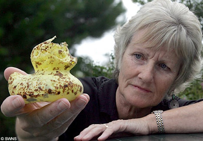 The story about the yellow rubber ducks by or hameiri - Ourboox.com