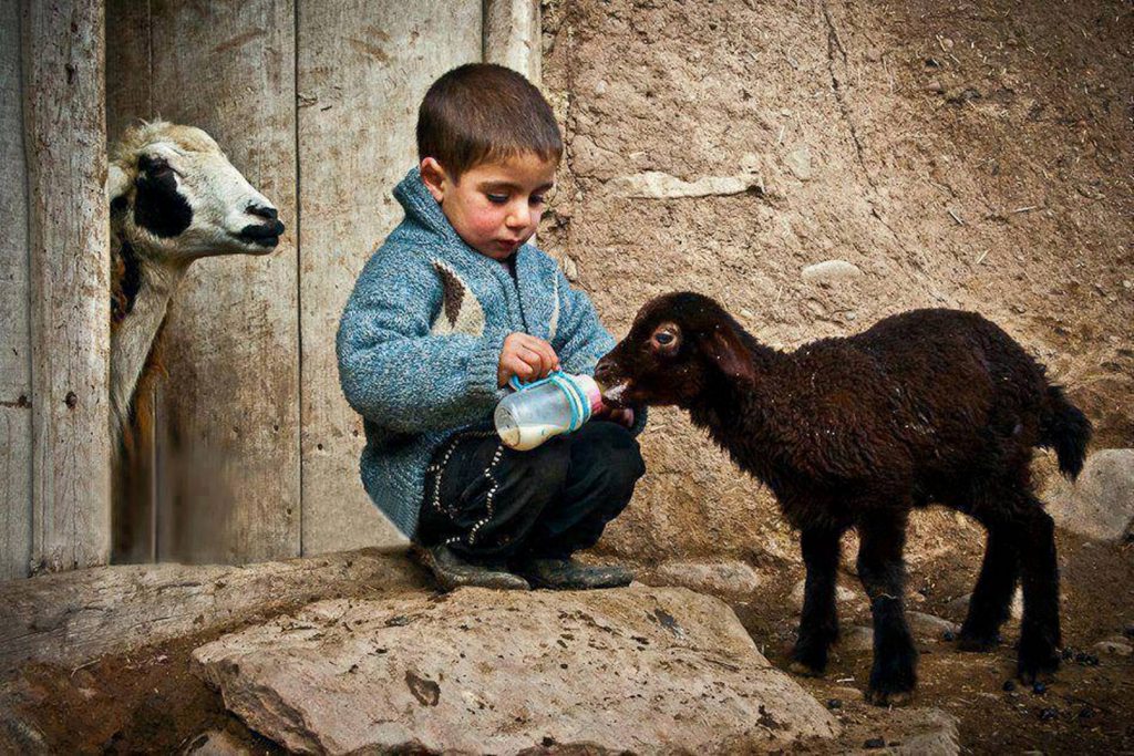 اللؤلؤ المكنون في وصف شخص نبيّنا الرسول صلى الله عليه وسلم by Adam&Ahmad&Ameer  - Illustrated by Adam & Ahmad & Ameer - Ourboox.com