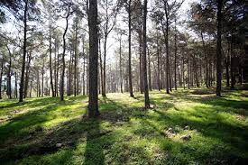 מלחמת העצמאות בצפת by amirim - Ourboox.com