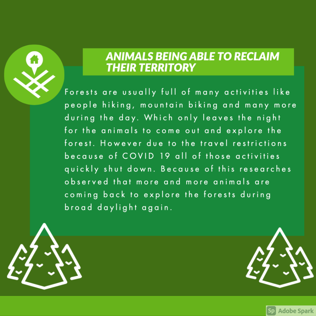 Mother Earth’s Reboot During The Pandemic by mikaela batalon - Ourboox.com