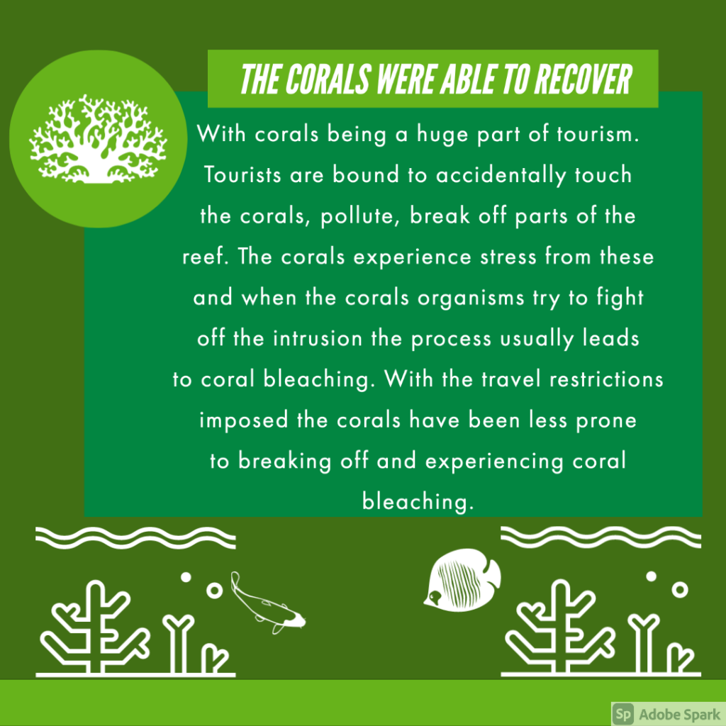 Mother Earth’s Reboot During The Pandemic by mikaela batalon - Ourboox.com