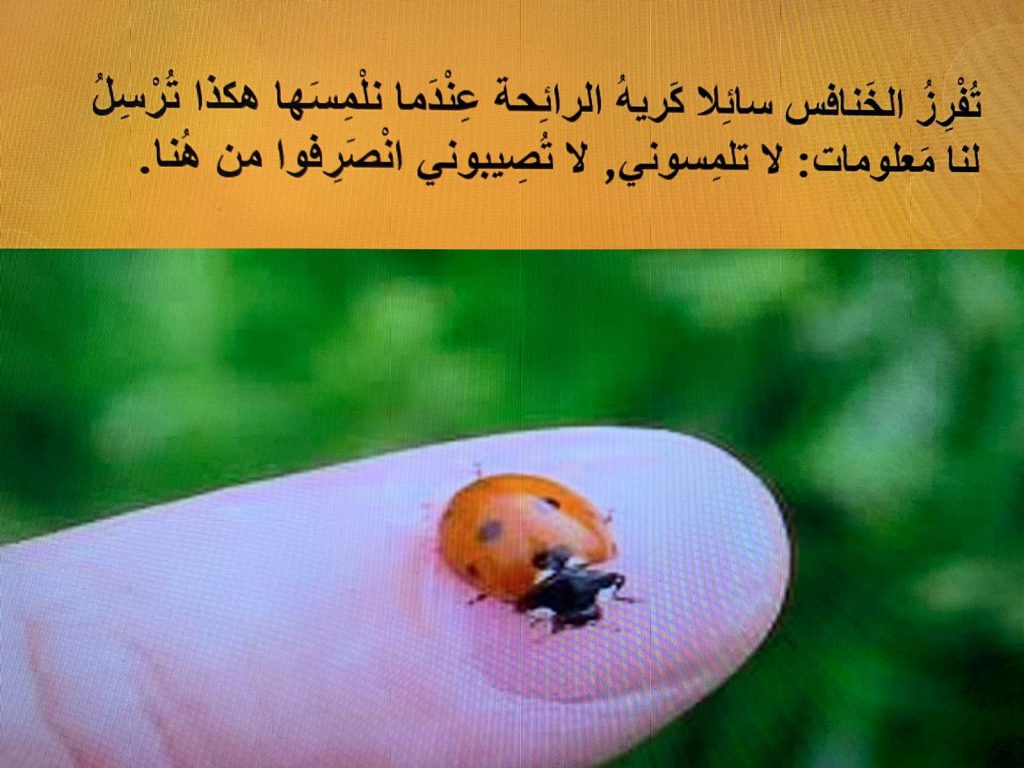 الاتصال بين الكائنات الحية by rasha lawen - Ourboox.com