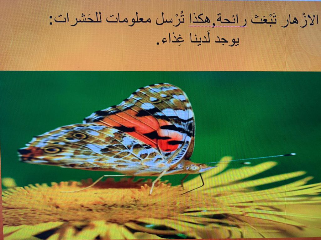 الاتصال بين الكائنات الحية by rasha lawen - Ourboox.com