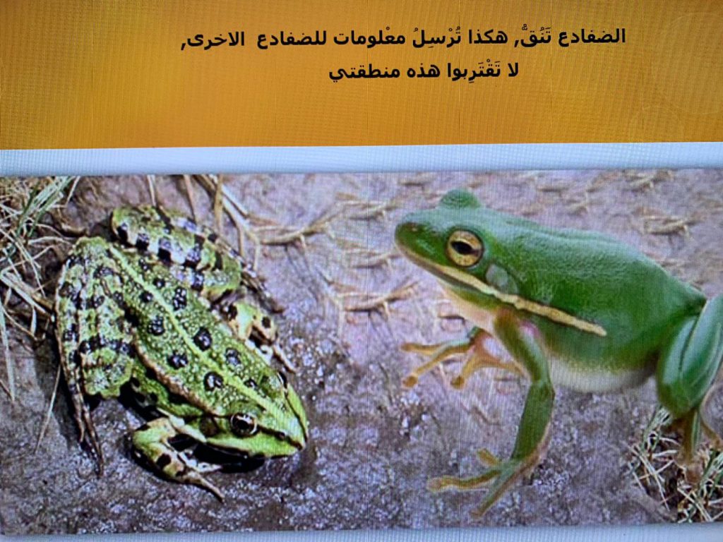 الاتصال بين الكائنات الحية by rasha lawen - Ourboox.com