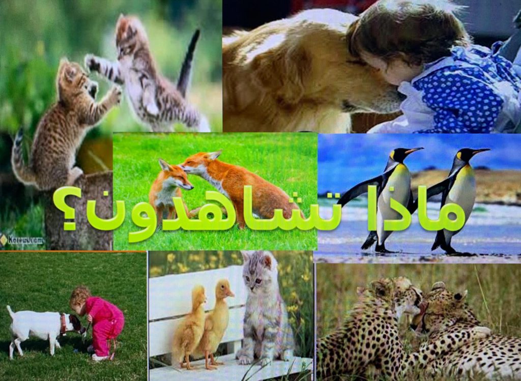 الاتصال بين الكائنات الحية by rasha lawen - Ourboox.com