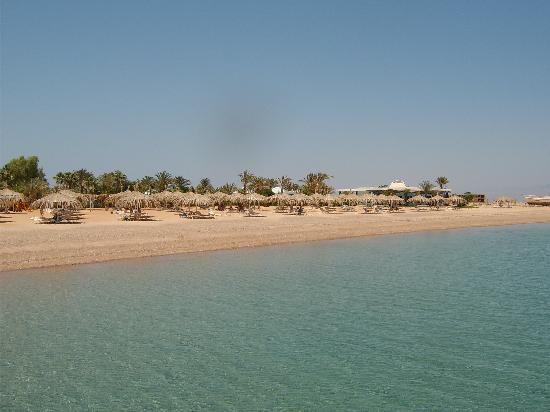 The yellow rubber duck who crossed the ocean by or hameiri - Ourboox.com