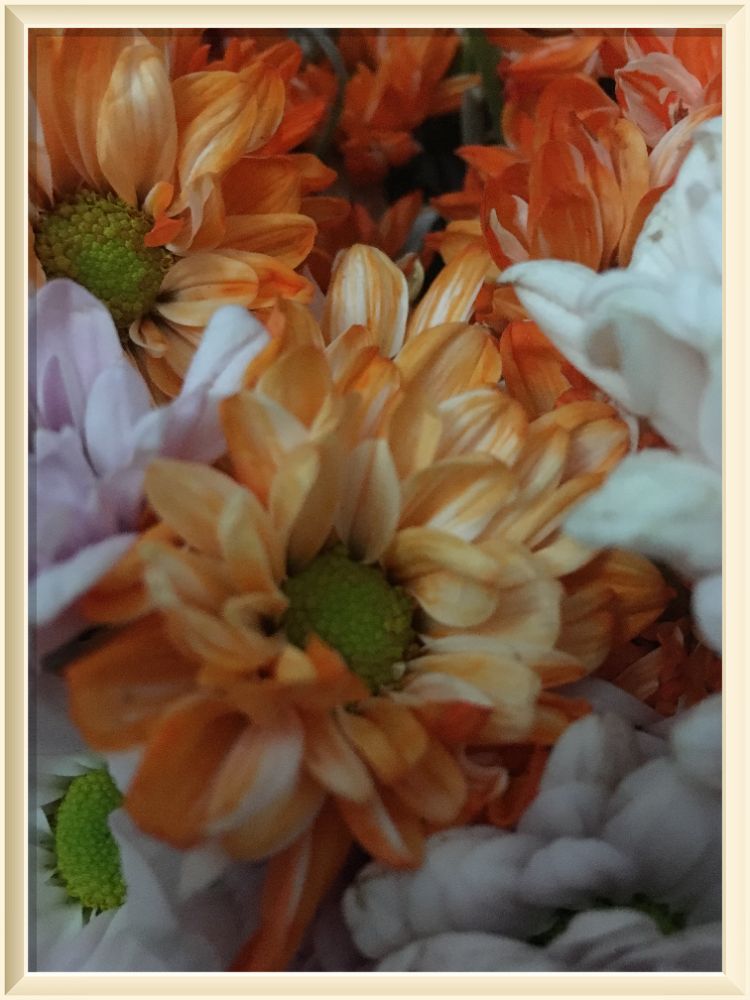 ÇEVRİMİÇİ BAHAR SERGİSİ by KONYA İL MİLLİ EĞİTİM MÜDÜRLÜĞÜ - Ourboox.com