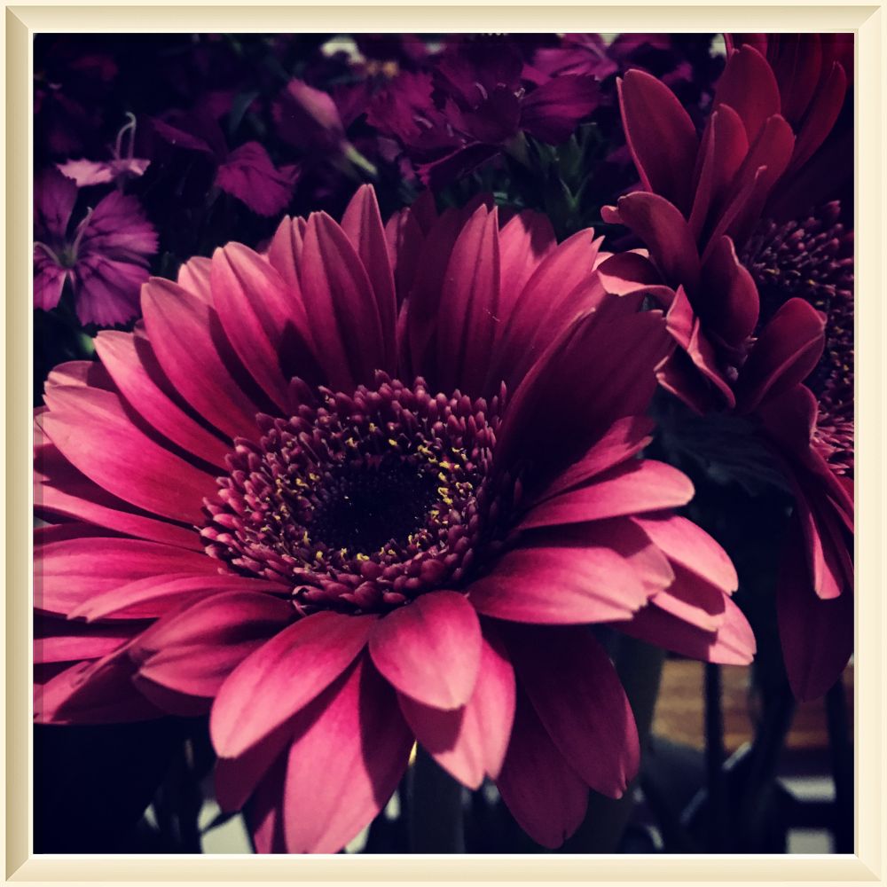 ÇEVRİMİÇİ BAHAR SERGİSİ by KONYA İL MİLLİ EĞİTİM MÜDÜRLÜĞÜ - Ourboox.com