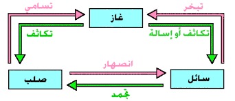 العلوم المادة وحالاتها by Dana - Illustrated by دانا زريقي وورود منصور - Ourboox.com