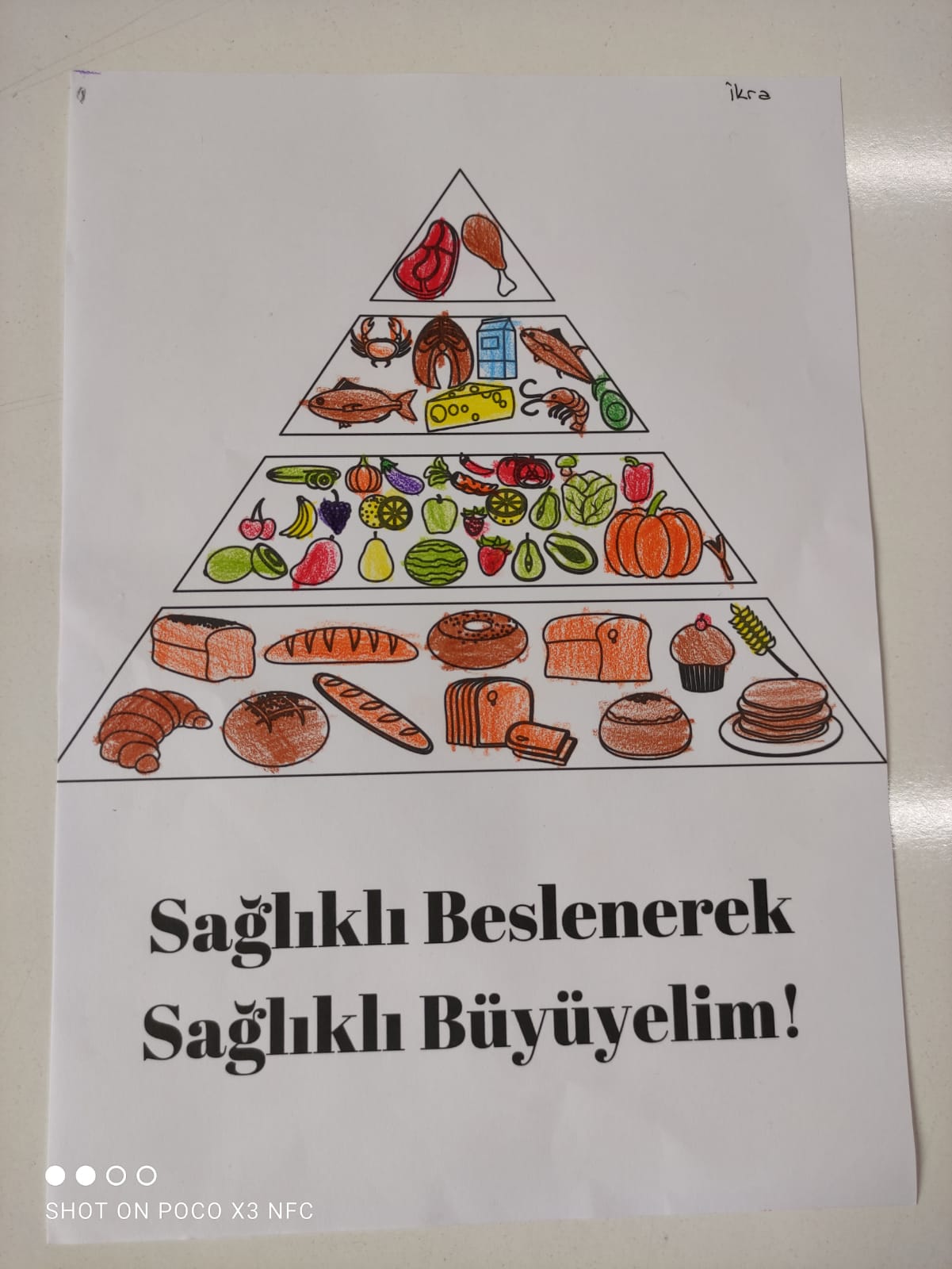 SAĞLIKLI YAŞAM KİTABI by Selda Deveci - Ourboox.com