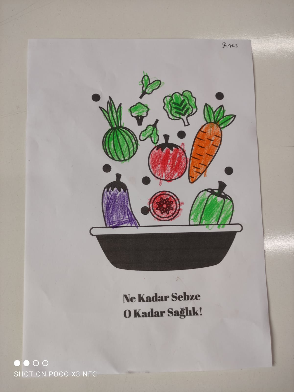 SAĞLIKLI YAŞAM KİTABI by Selda Deveci - Ourboox.com