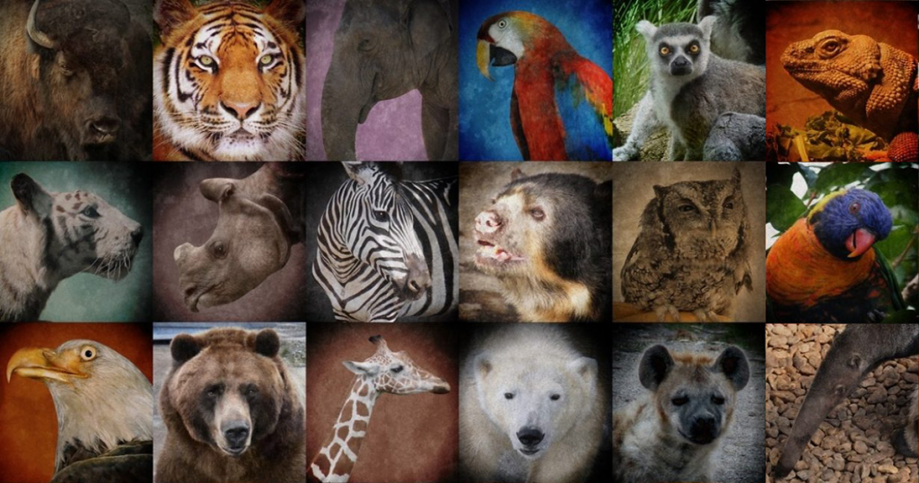endangered animals affected by the global warming by in nature animals - Ourboox.com