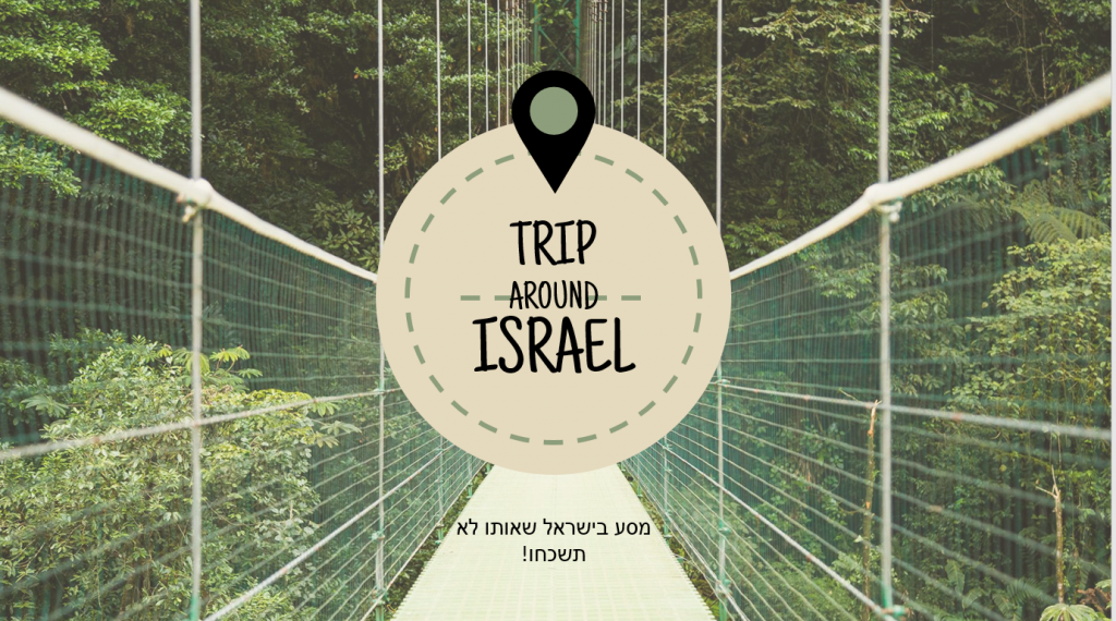 תיק עבודות by rachel - Ourboox.com