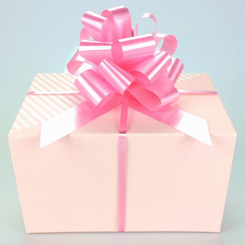 The Pink Pug by Sally Ben Shitrit - Ourboox.com