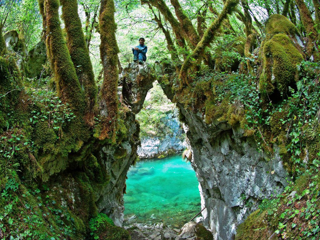 The Mysterious Spring by Mia lahat - Illustrated by Mia Lahat - Ourboox.com