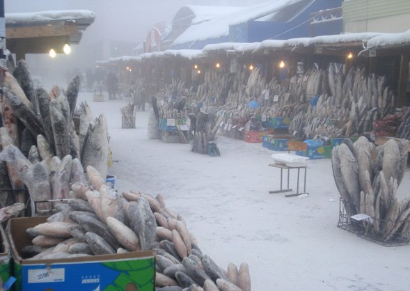 English Project by ilginay - Ourboox.com