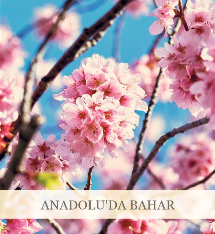 Proje ödevi by Nisa Songelen - Ourboox.com