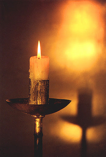 Proje ödevi by Nisa Songelen - Ourboox.com