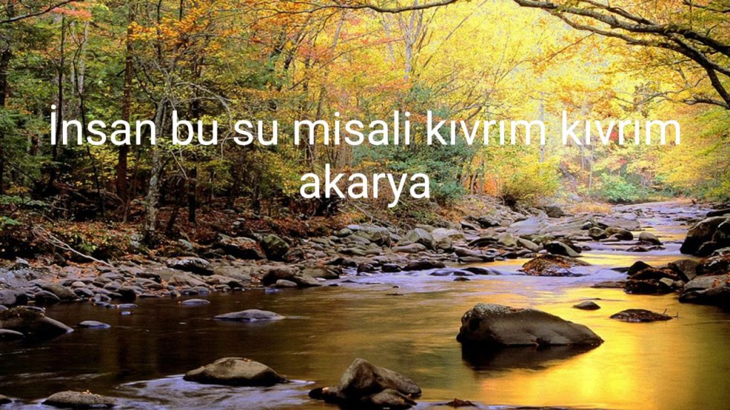 Proje ödevi by Nisa Songelen - Ourboox.com