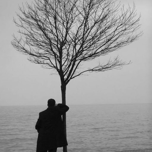 Proje ödevi by Nisa Songelen - Ourboox.com