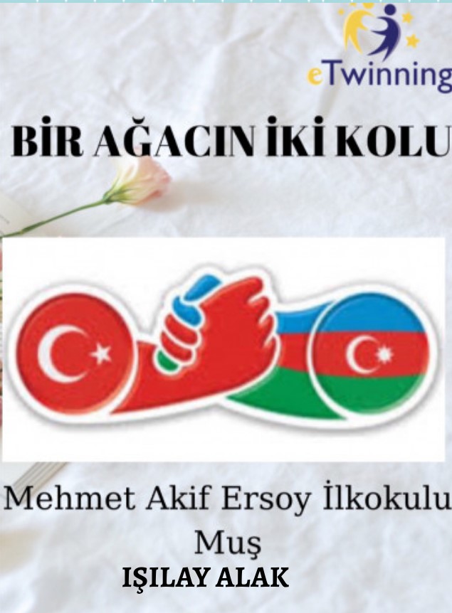 BİR AĞACIN İKİ QOLU AFİŞ ÇALIŞMALARIMIZ by SEHER UYAR - Ourboox.com