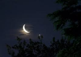 CEMRESU ÖZDAL İLE PROJE ÖDEVİ by Cemresu ÖZDAL - Ourboox.com