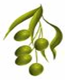 ט”ו בשבט by shlomo zimerman - Ourboox.com