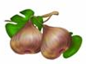 ט”ו בשבט by shlomo zimerman - Ourboox.com