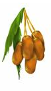 ט”ו בשבט by shlomo zimerman - Ourboox.com