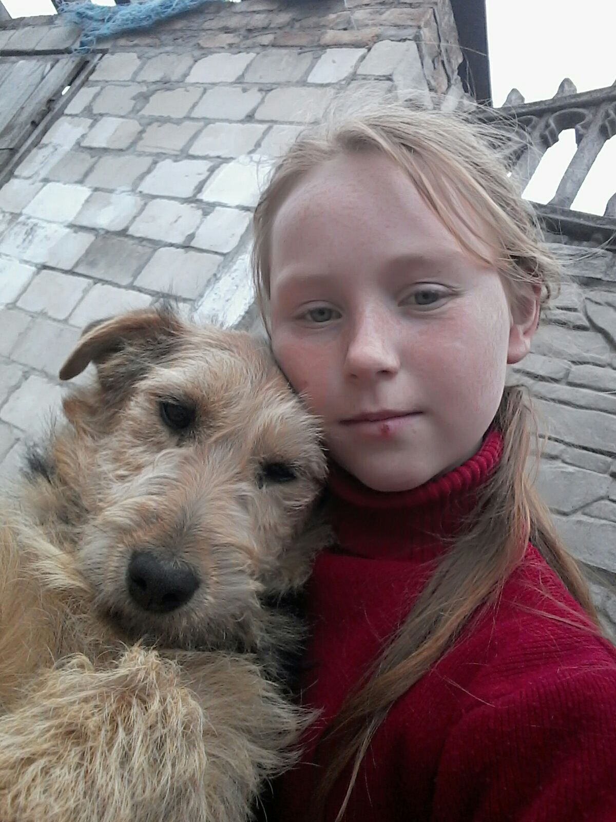 Наші домашні улюбленці by Марія Харук - Ourboox.com