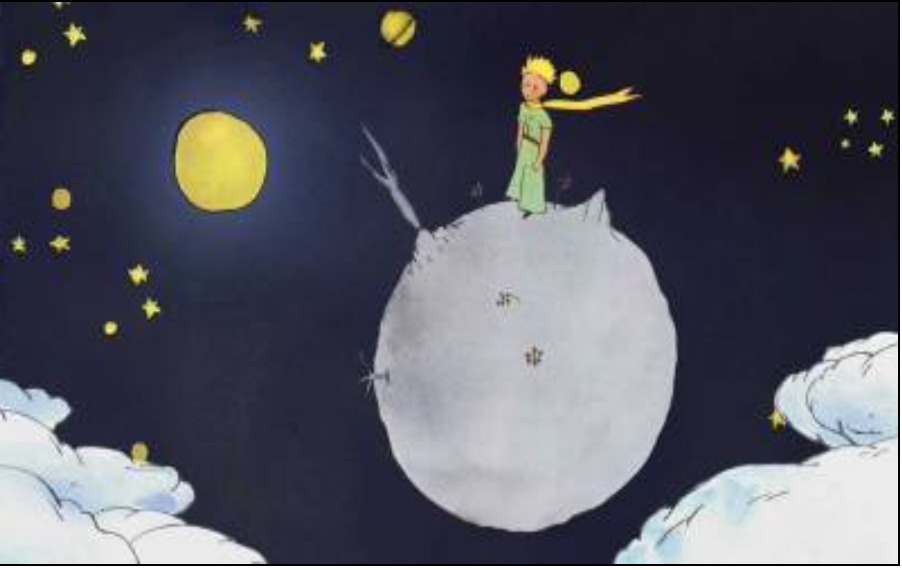 IL PICCOLO PRINCIPE by annamaria - Ourboox.com