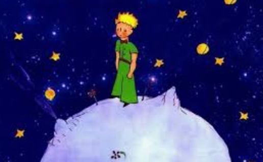 IL PICCOLO PRINCIPE by annamaria - Ourboox.com