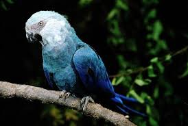 Мої Улюбленці by Zhena - Ourboox.com