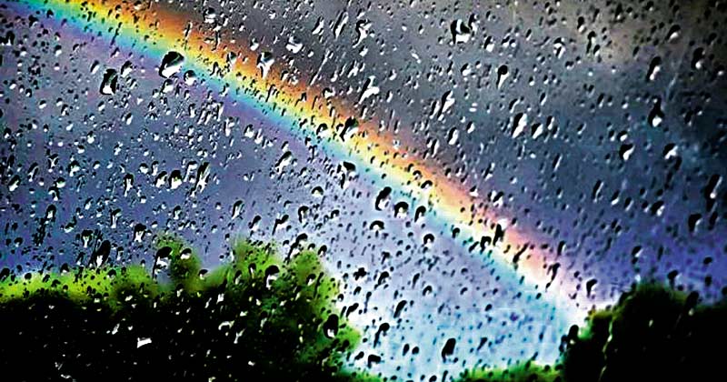 Максим Рильський. Поезія by Лариса Яценко - Ourboox.com