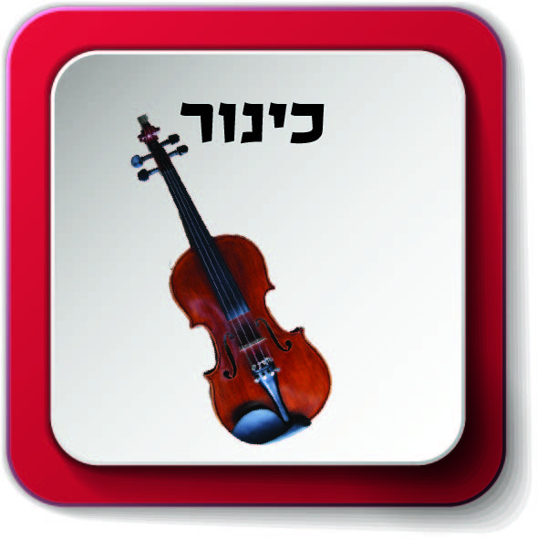 משפחת כלי מיתר by AYELLET - Ourboox.com