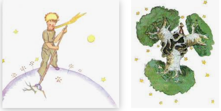 IL PICCOLO PRINCIPE by annamaria - Ourboox.com