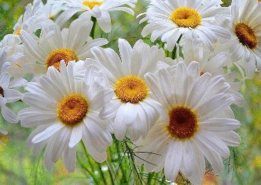 Максим Рильський. Поезія by Лариса Яценко - Ourboox.com