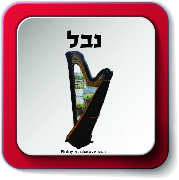 משפחת כלי מיתר by AYELLET - Ourboox.com