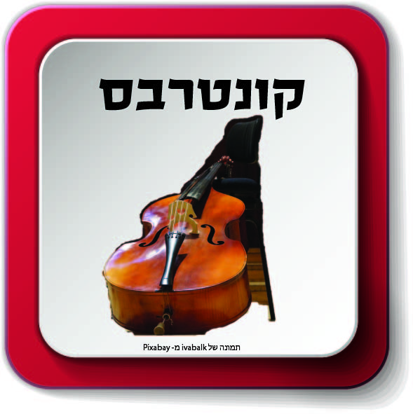 משפחת כלי מיתר by AYELLET - Ourboox.com