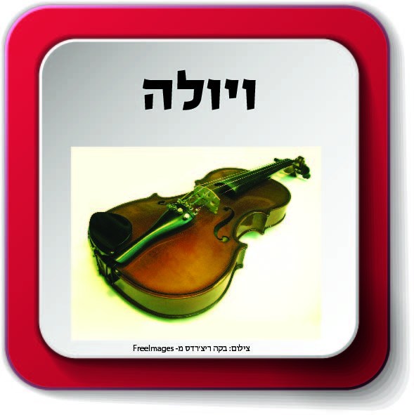 משפחת כלי מיתר by AYELLET - Ourboox.com