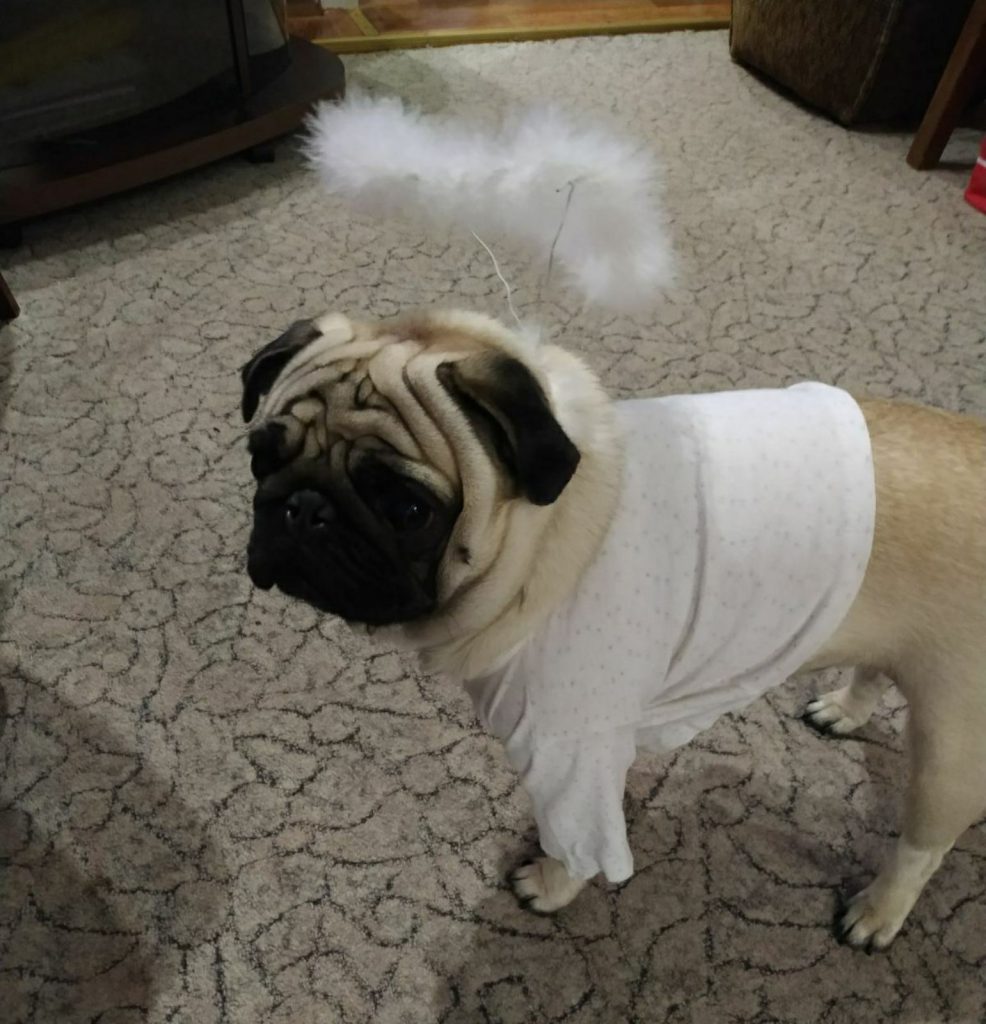 Мій друг Ніколя by Злата Негода - Ourboox.com