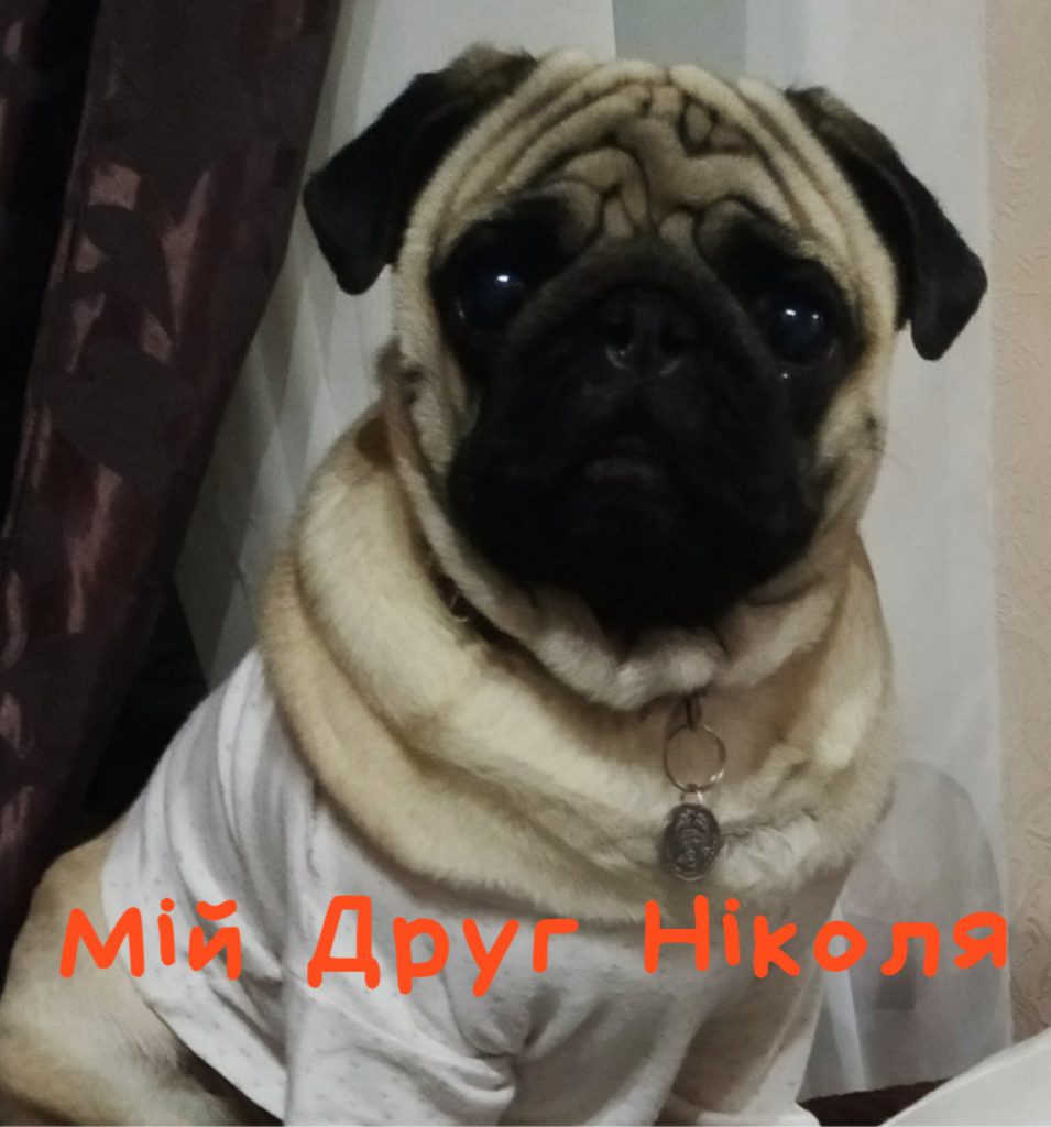 Мій друг Ніколя by Злата Негода - Ourboox.com