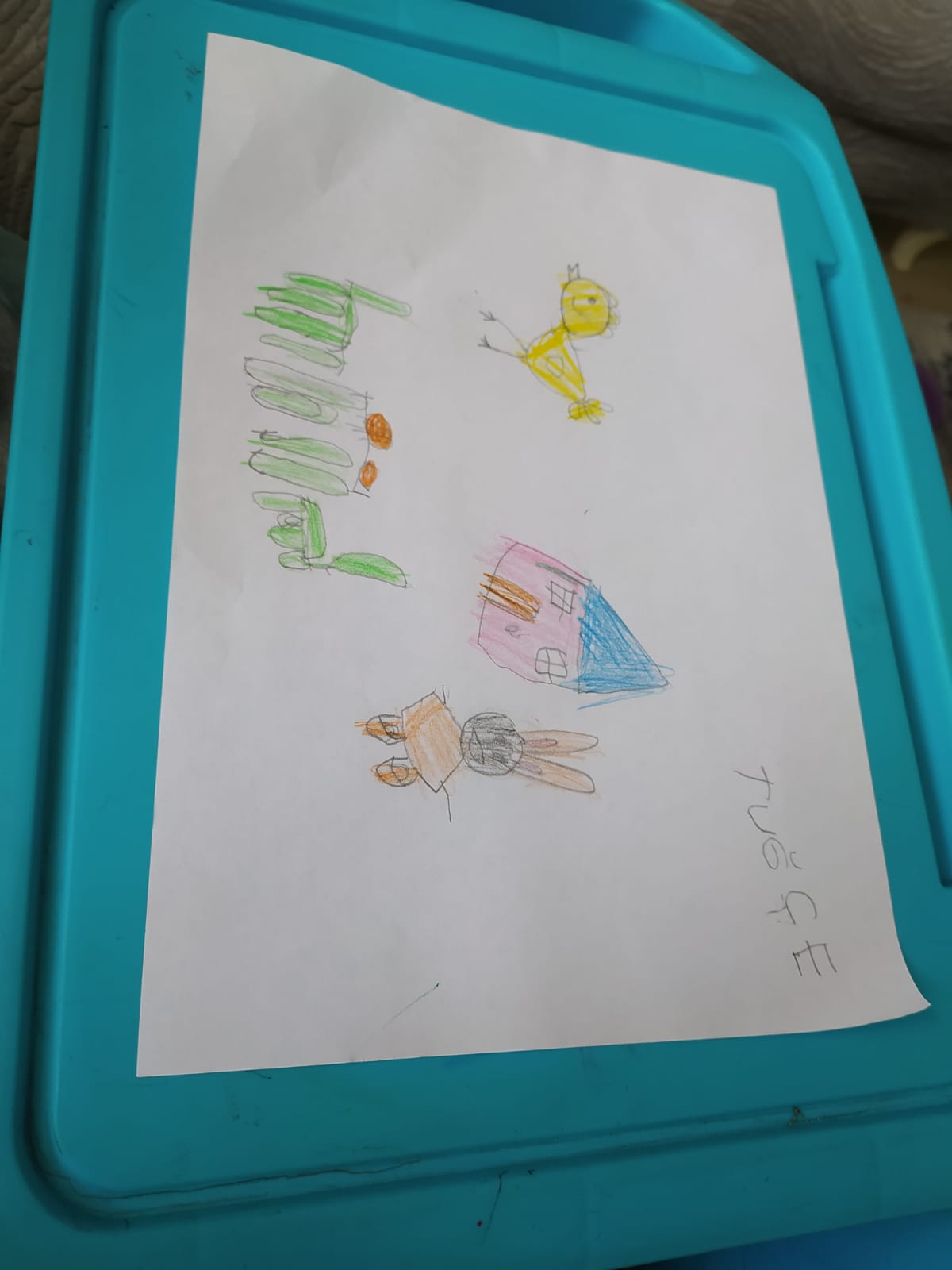 ÇİLLİ TAVUK VE YAVRULARI by Selda Deveci - Ourboox.com