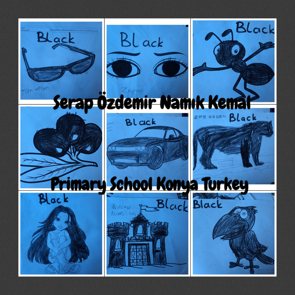 SERAP ÖZDEMİR NAMIK KEMAL PRIMARY SCHOOL
